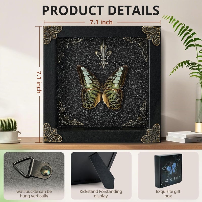 GDBEH Real Butterfly Framed Handmade - Taxidermy Butterfly Shadow Box - Real Framed Butterflies in a Box for Gothic Home Decor Aesthetic. (Green Beautiful Butterfly) - Image 2